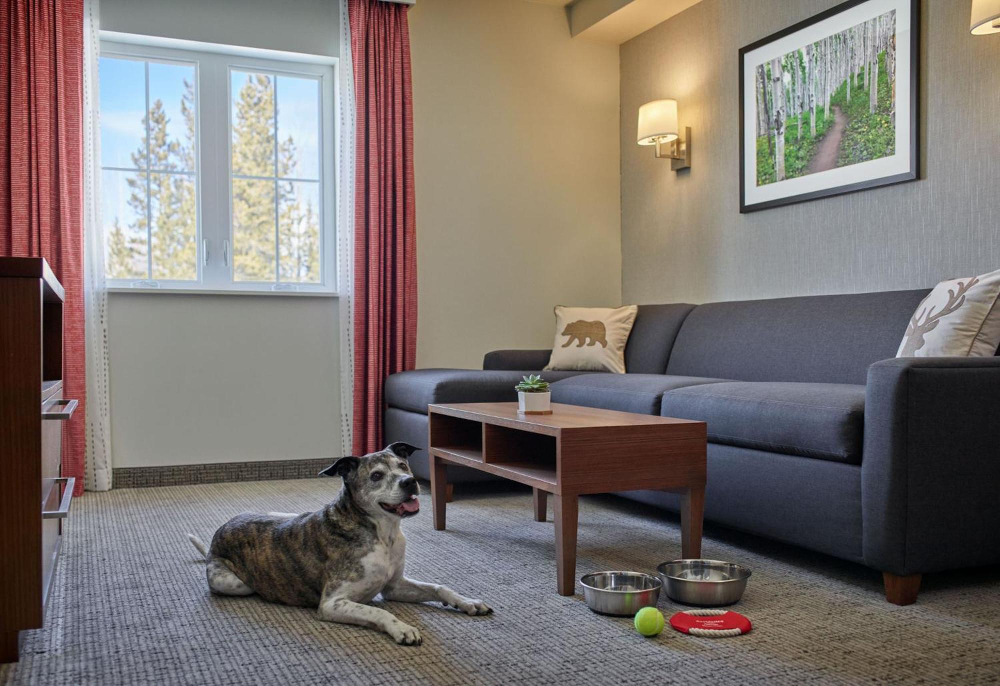 Residence Inn By Marriott Breckenridge Zewnętrze zdjęcie